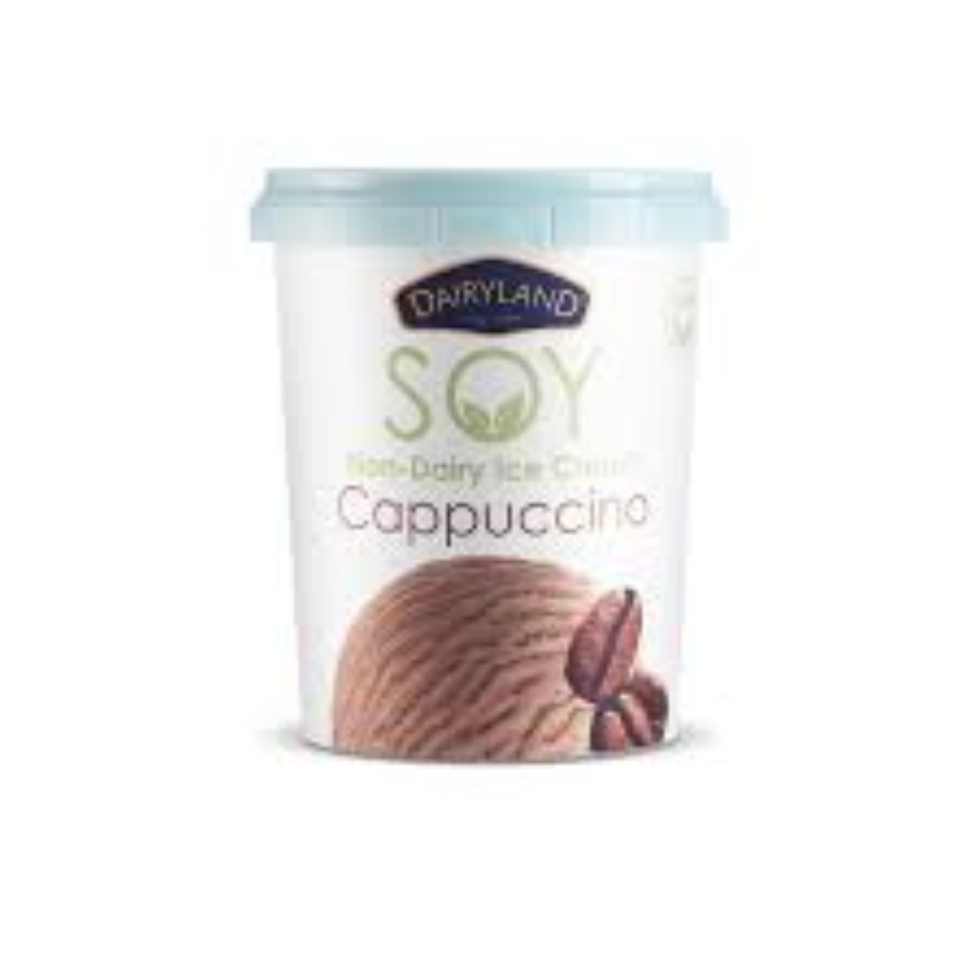 DAIRYLAND NON DAIRY ICE CREAM CAPPUCCINO 500ML